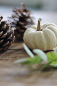 Review of Makelight Food Photography Workshop