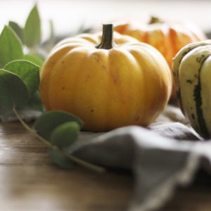 Makelight Food Photography Workshop