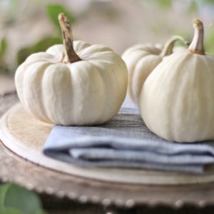 Review of Makelight Food Photography Workshop