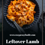 Leftover Lamb Ragu Pin