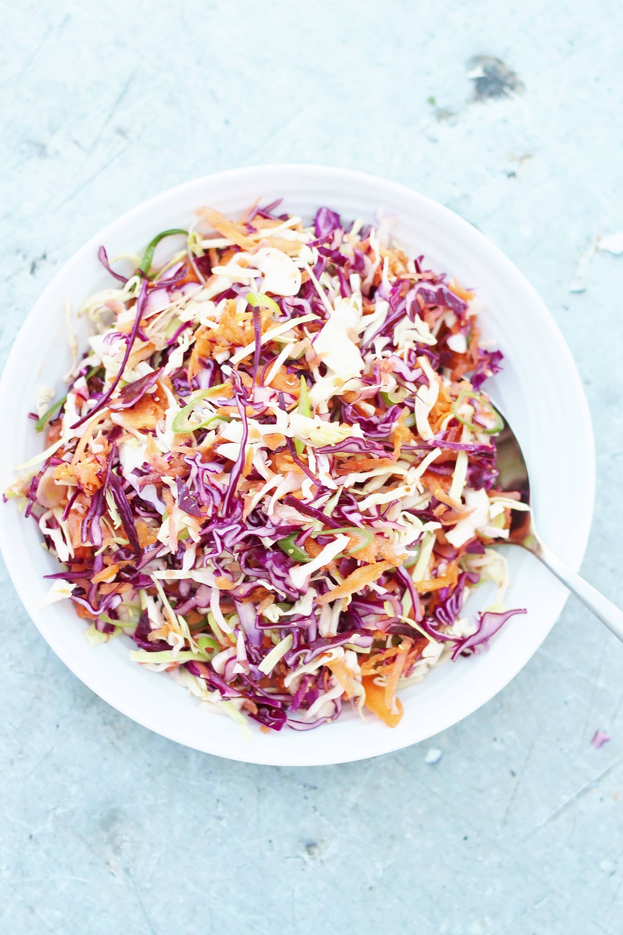Easy No Mayo Coleslaw (Dairy Free, Egg Free & Vegan) Easy Peasy Foodie