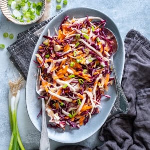 Easy No Mayo Coleslaw Hero