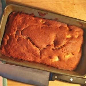 Apple Cinnamon Loaf Cake