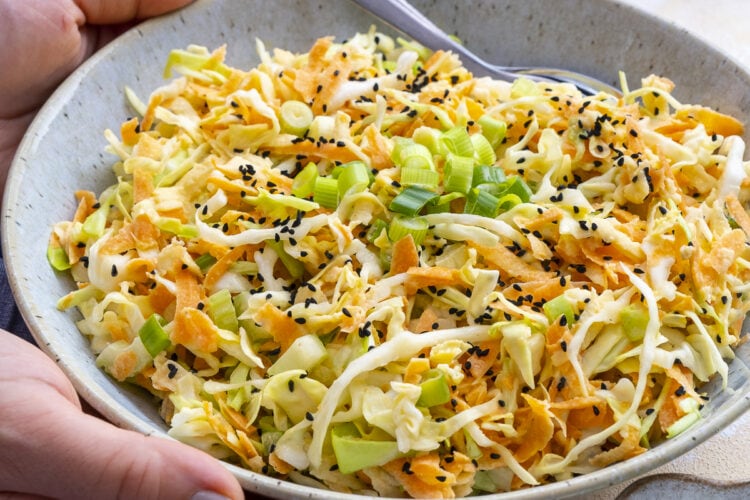 Easy Apple Coleslaw
