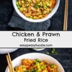 Chicken and Prawn Fried Rice Pin
