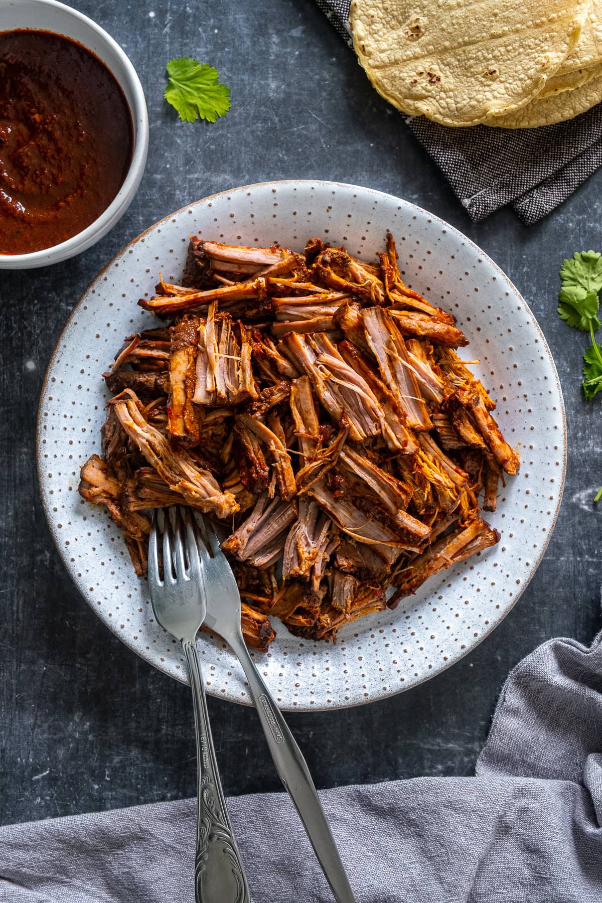 Shredded Beef for Birria