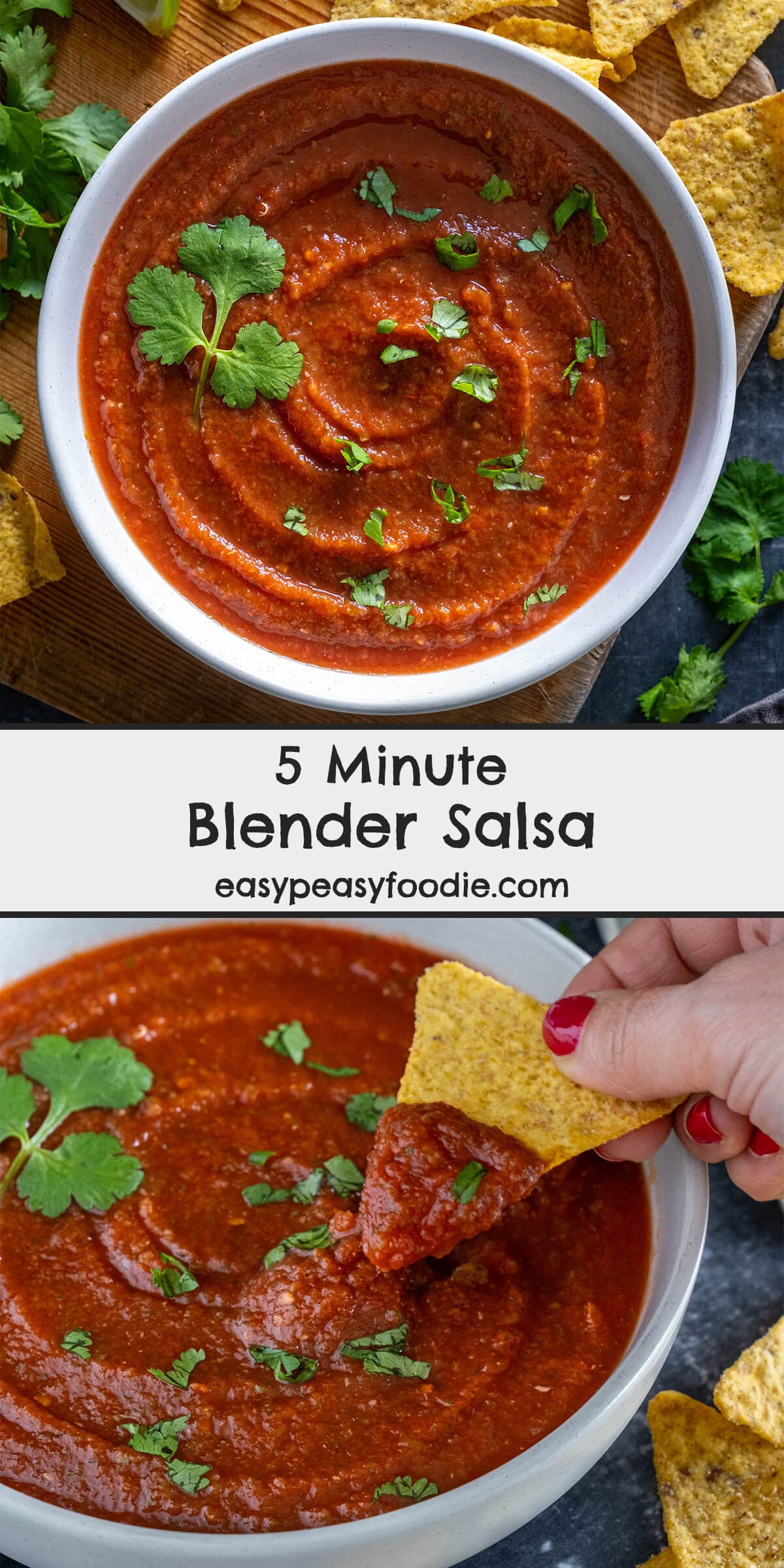 5 Minute Blender Salsa Pin